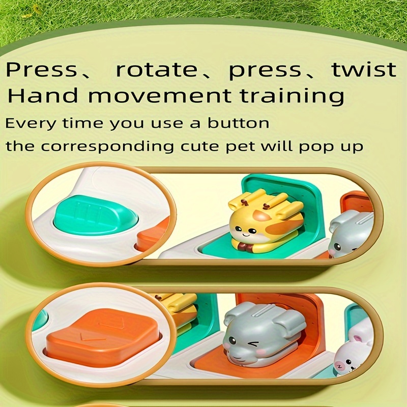Montessori Pop up Animal Toys  - Photography Jokes review and price