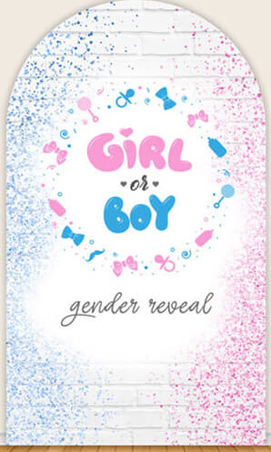 LS Gender Reveal Party Arch Co - Photography Questions review and price